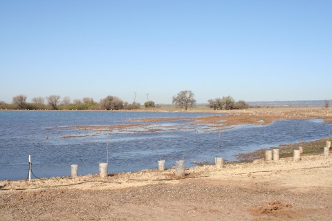 a body of water
